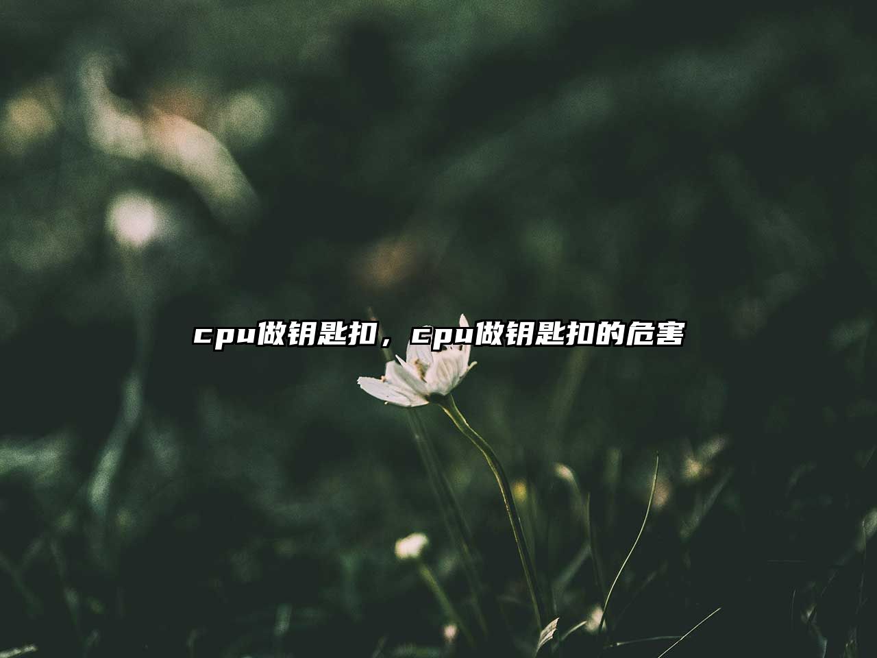 cpu做鑰匙扣，cpu做鑰匙扣的危害