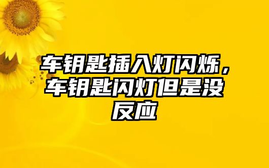 車鑰匙插入燈閃爍，車鑰匙閃燈但是沒反應(yīng)