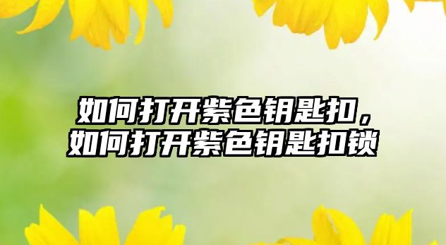 如何打開紫色鑰匙扣，如何打開紫色鑰匙扣鎖