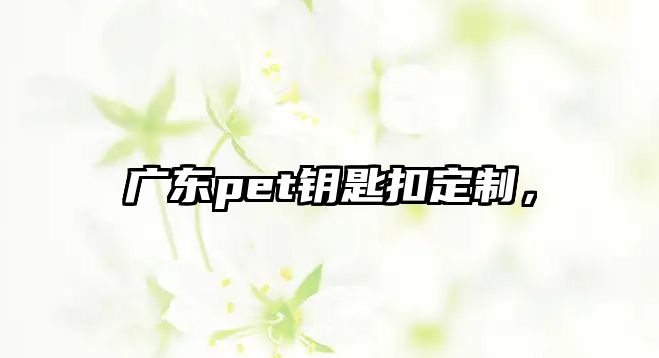 廣東pet鑰匙扣定制，