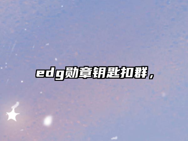 edg勛章鑰匙扣群，